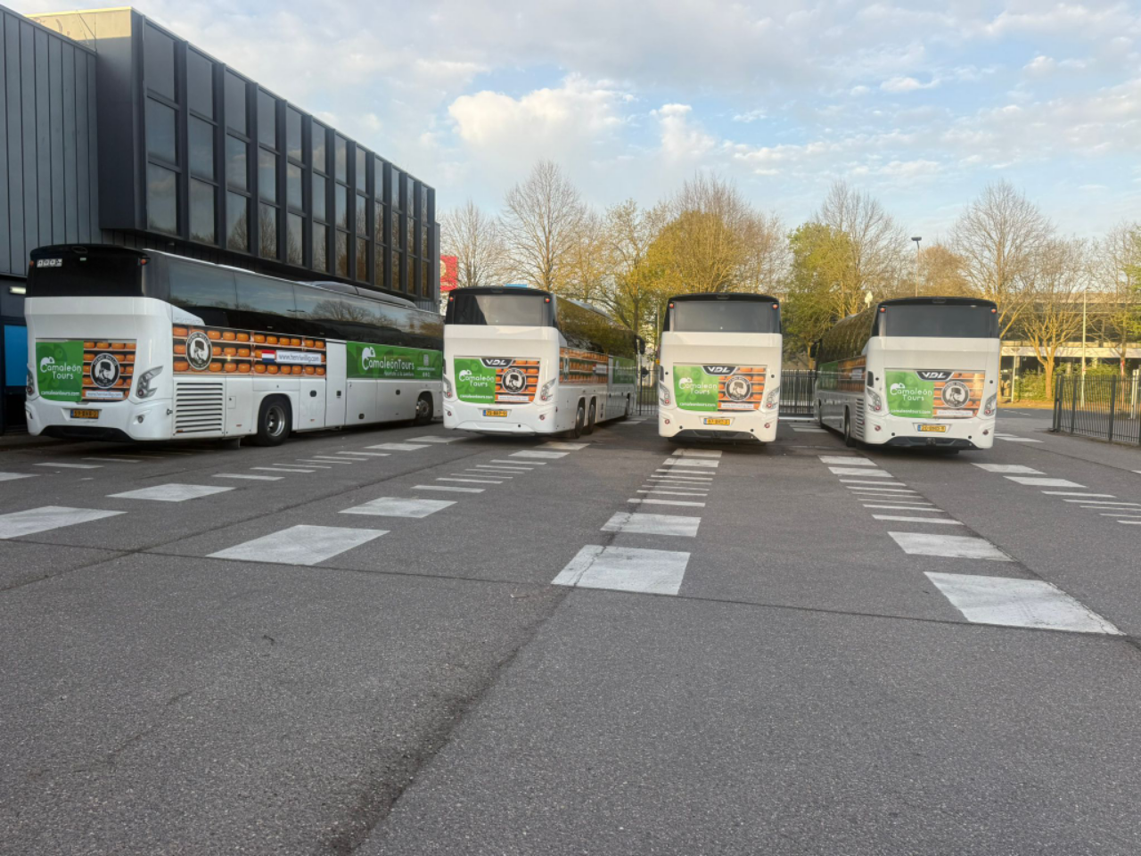 Vier Camaleon Tours touringcars naast elkaar geparkeerd